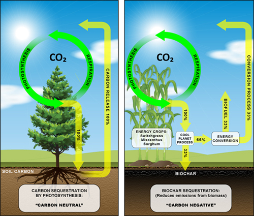 BioGeoChemical Cycle Plus CP Pyrolysis