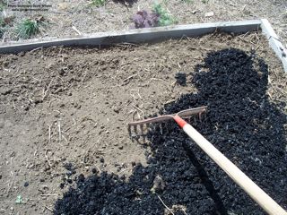 biochar rake