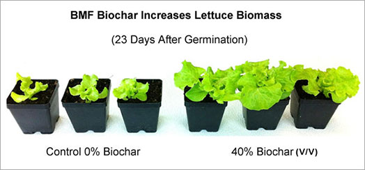 bmf biochar
