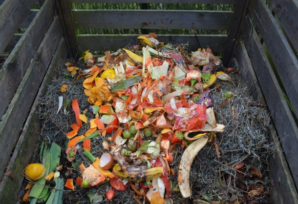 compost image